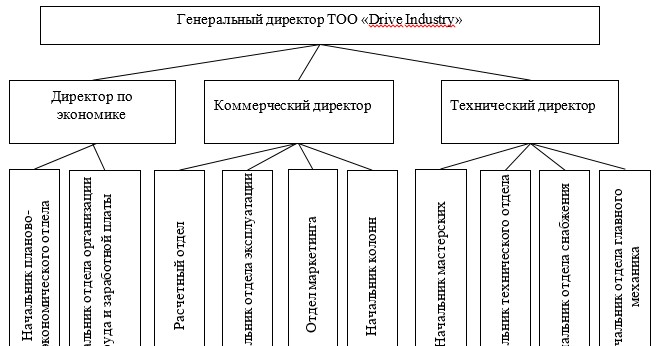 Схема организации управления ТОО «Drive Industry»
