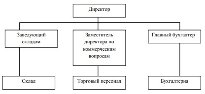  Структура управления ООО «Штормавто»