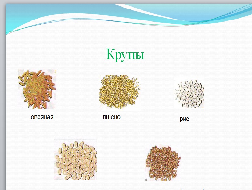 Виды бобовых круп. Тест 4. блюда из круп, бобовых и макаронных моделей. Сообщение о производства круповых изделий рис.