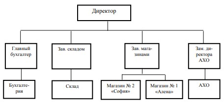  Организационная структура управления ИП Даниелян С.Т.