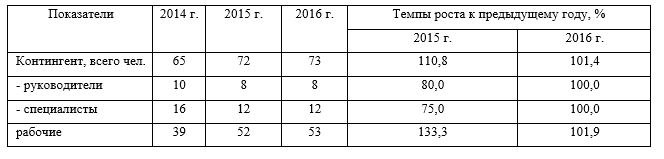 Численность и состав работников ТОО «Drive Industry» за 2014-2016 гг. 